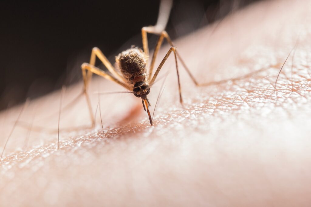 malaria vaccine - Altomhelse